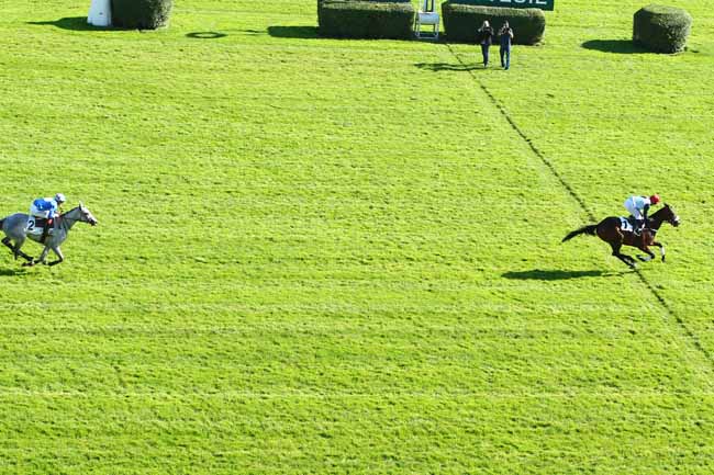 Photo d'arrivée de la course pmu PRIX MAGNE à AUTEUIL le Samedi 14 octobre 2017