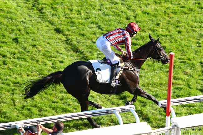 Photo d'arrivée de la course pmu PRIX PIERRE DE LASSUS à AUTEUIL le Samedi 14 octobre 2017