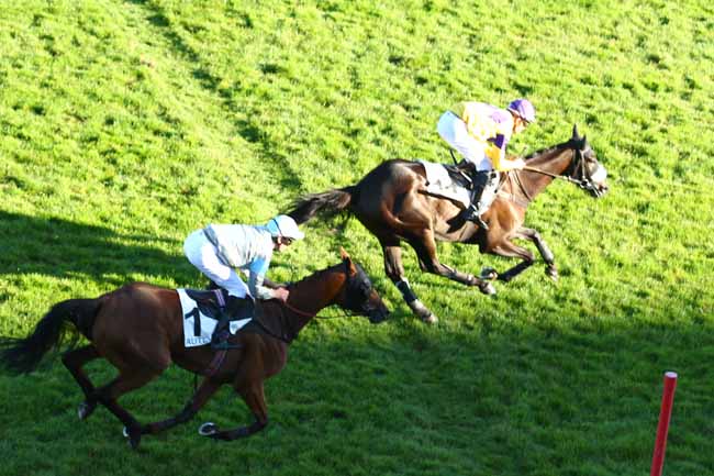 Photo d'arrivée de la course pmu PRIX PETIT FONTAINE à AUTEUIL le Samedi 14 octobre 2017