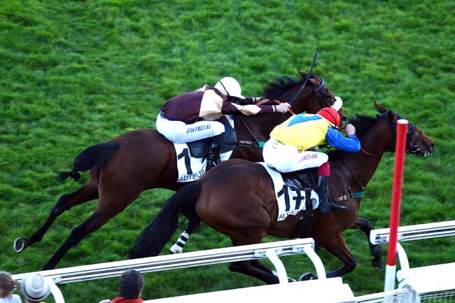 Photo d'arrivée de la course pmu PRIX ROGER SOULANGE-BODIN à AUTEUIL le Samedi 14 octobre 2017