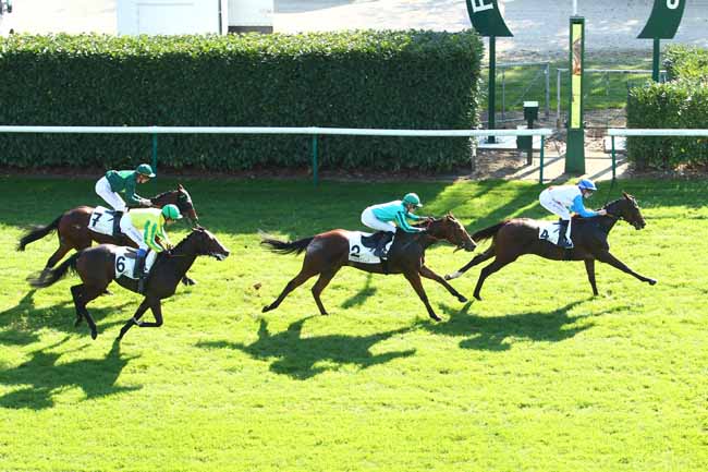 Photo d'arrivée de la course pmu PRIX DU BOIS BOURDON à CHANTILLY le Dimanche 15 octobre 2017