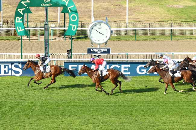 Photo d'arrivée de la course pmu PRIX CASIMIR DELAMARRE - FONDS EUROPEEN DE L'ELEVAGE à CHANTILLY le Dimanche 15 octobre 2017