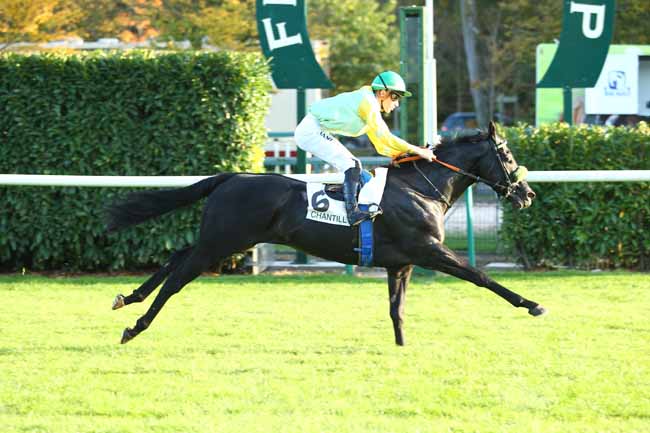 Photo d'arrivée de la course pmu PRIX DE LA VIEILLE ROUTE à CHANTILLY le Dimanche 15 octobre 2017