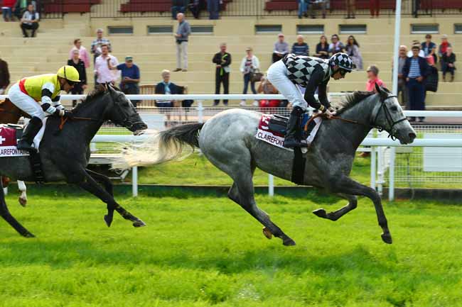 Photo d'arrivée de la course pmu PRIX DES LAIS DE MER à CLAIREFONTAINE le Lundi 16 octobre 2017