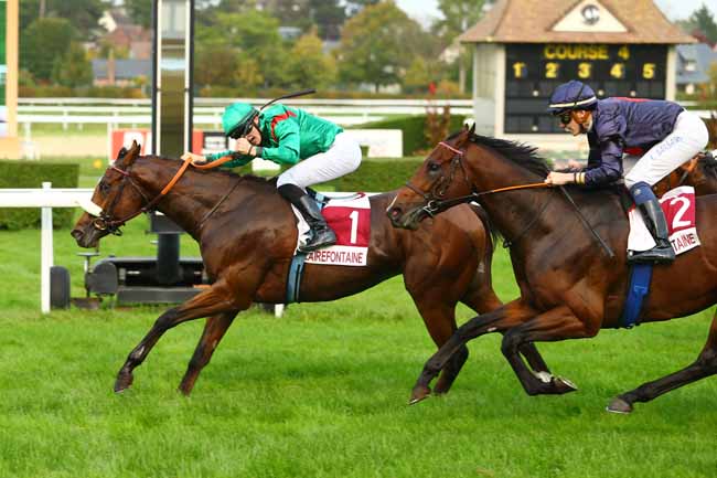 Photo d'arrivée de la course pmu PRIX DE LA MARE A TOUQUES à CLAIREFONTAINE le Lundi 16 octobre 2017
