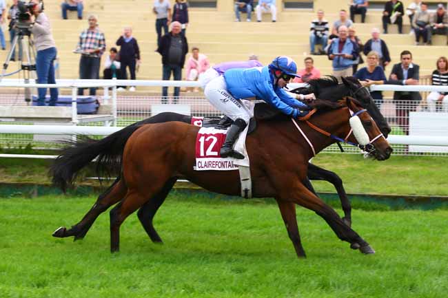 Photo d'arrivée de la course pmu PRIX DU BOTTEY à CLAIREFONTAINE le Lundi 16 octobre 2017
