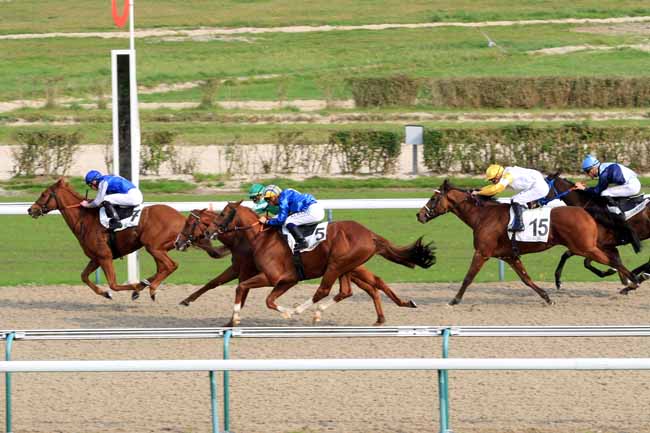 Photo d'arrivée de la course pmu PRIX GALOP EXPO à DEAUVILLE le Mardi 17 octobre 2017