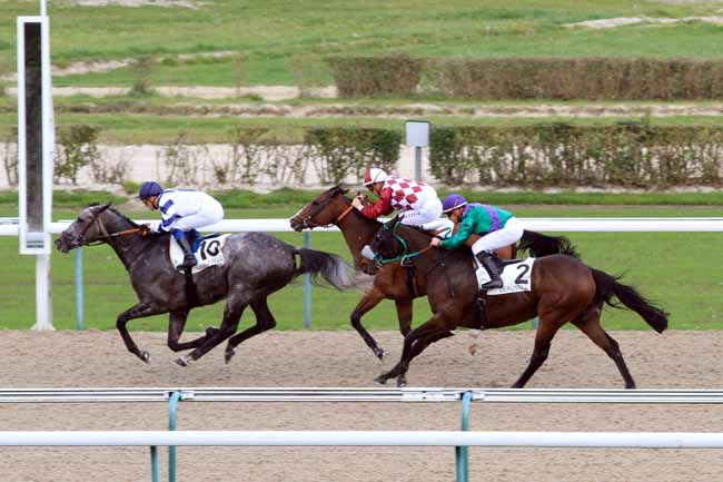 Photo d'arrivée de la course pmu PRIX DE L'ORME à DEAUVILLE le Mardi 17 octobre 2017
