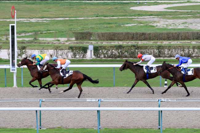 Photo d'arrivée de la course pmu PRIX DE L'ETABLISSEMENT DES VENTES à DEAUVILLE le Mardi 17 octobre 2017