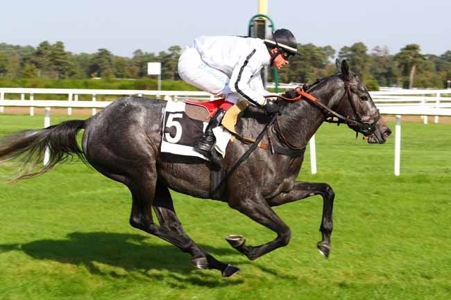 Photo d'arrivée de la course pmu PRIX DE LA TABLE DU ROI à FONTAINEBLEAU le Mardi 17 octobre 2017