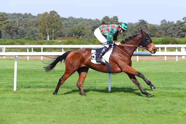 Photo d'arrivée de la course pmu PRIX ESMONDO à FONTAINEBLEAU le Mardi 17 octobre 2017