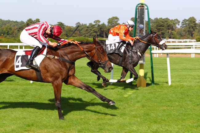Photo d'arrivée de la course pmu PRIX DES GENETS à FONTAINEBLEAU le Mardi 17 octobre 2017