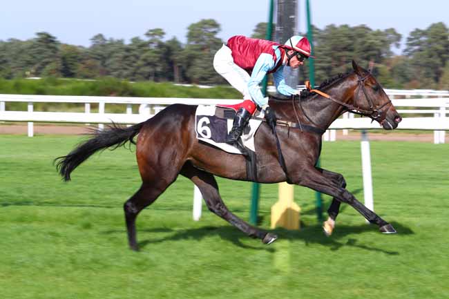 Photo d'arrivée de la course pmu PRIX DE L'ECOLE MILITAIRE D'EQUITATION à FONTAINEBLEAU le Mardi 17 octobre 2017