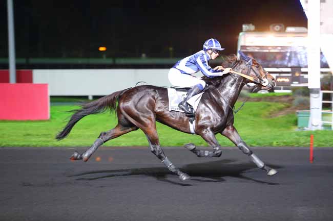 Photo d'arrivée de la course pmu PRIX PHACT à PARIS-VINCENNES le Mardi 17 octobre 2017
