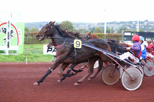 Photo d'arrivée de la course pmu PRIX SAINT ETIENNE METROPOLE à SAINT GALMIER le Mercredi 18 octobre 2017