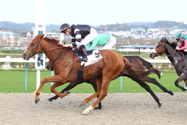 Photo d'arrivée de la course pmu PRIX DES DORELLES à DEAUVILLE le Mercredi 18 octobre 2017