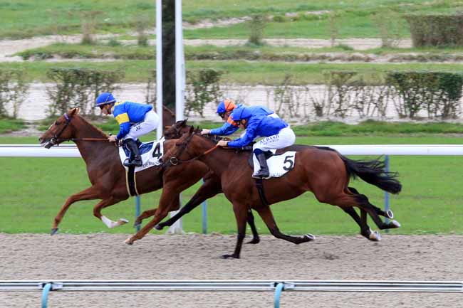 Photo d'arrivée de la course pmu PRIX ARAZI à DEAUVILLE le Jeudi 19 octobre 2017