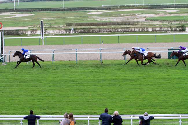 Photo d'arrivée de la course pmu PRIX ISONOMY à DEAUVILLE le Jeudi 19 octobre 2017