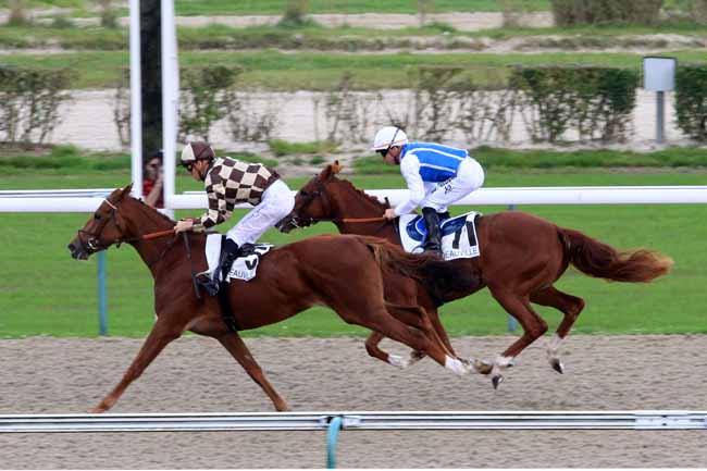 Photo d'arrivée de la course pmu PRIX DE FERRIERES-LA-VERRERIE à DEAUVILLE le Jeudi 19 octobre 2017