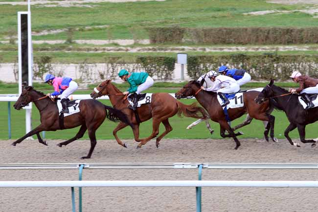 Photo d'arrivée de la course pmu PRIX DU PORT DE FECAMP à DEAUVILLE le Jeudi 19 octobre 2017