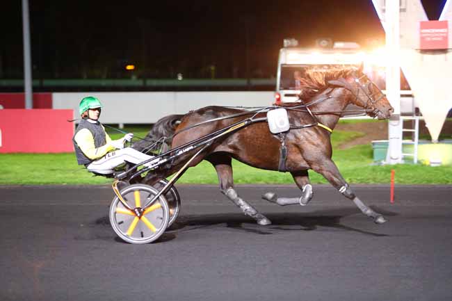Photo d'arrivée de la course pmu PRIX THEMIS à PARIS-VINCENNES le Vendredi 20 octobre 2017