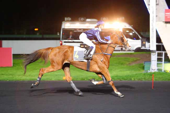 Photo d'arrivée de la course pmu PRIX EUTERPE à PARIS-VINCENNES le Vendredi 20 octobre 2017