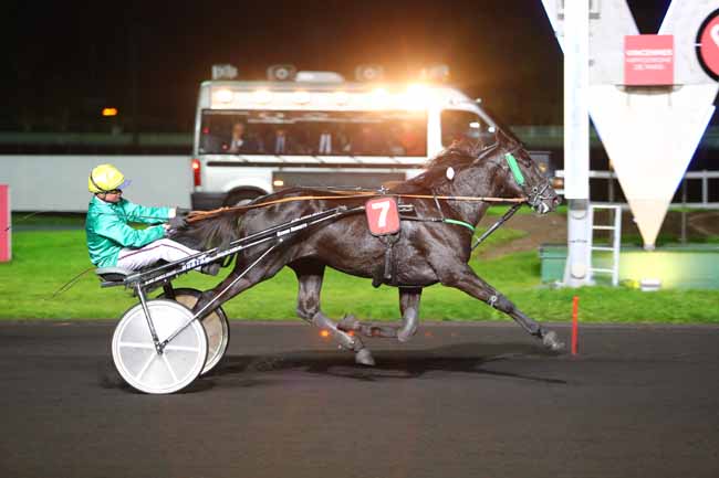 Photo d'arrivée de la course pmu PRIX ARETHUSA à PARIS-VINCENNES le Vendredi 20 octobre 2017