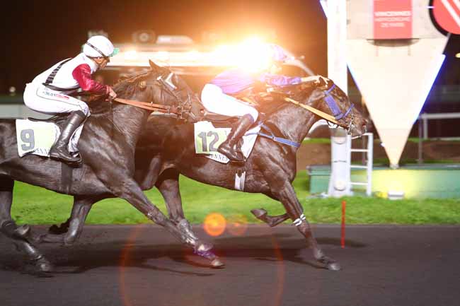 Photo d'arrivée de la course pmu PRIX ATHAMANTIS à PARIS-VINCENNES le Vendredi 20 octobre 2017