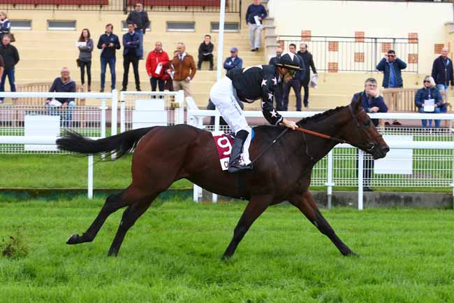 Photo d'arrivée de la course pmu PRIX DES GLAIEULS à CLAIREFONTAINE le Vendredi 20 octobre 2017
