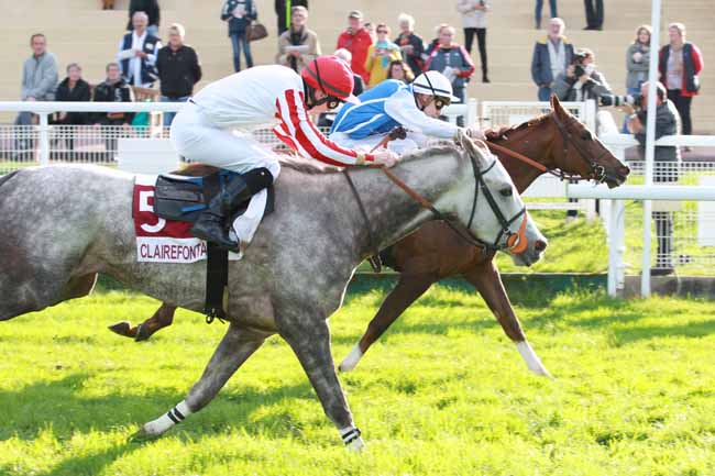 Photo d'arrivée de la course pmu PRIX DE SAINT-LEGER DUBOSQ à CLAIREFONTAINE le Vendredi 20 octobre 2017