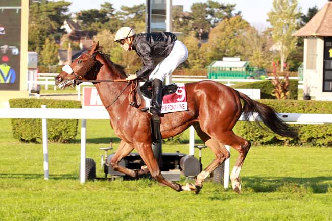 Photo d'arrivée de la course pmu PRIX DE SAINT-JOUIN à CLAIREFONTAINE le Vendredi 20 octobre 2017