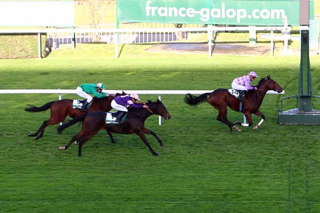 Photo d'arrivée de la course pmu FINALE DU GALOP TOUR INTER-REGIONAL à SAINT-CLOUD le Dimanche 22 octobre 2017