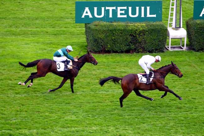 Photo d'arrivée de la course pmu PRIX TRIQUERVILLE à AUTEUIL le Mardi 24 octobre 2017