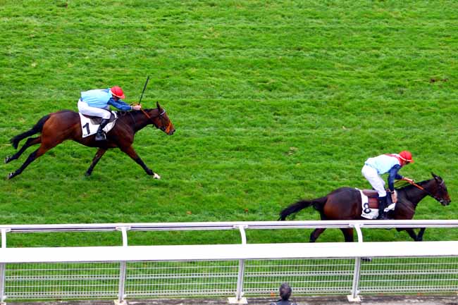 Photo d'arrivée de la course pmu PRIX CEREALISTE à AUTEUIL le Mardi 24 octobre 2017