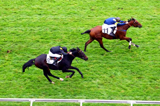 Photo d'arrivée de la course pmu PRIX LUSIGNAN à AUTEUIL le Mardi 24 octobre 2017