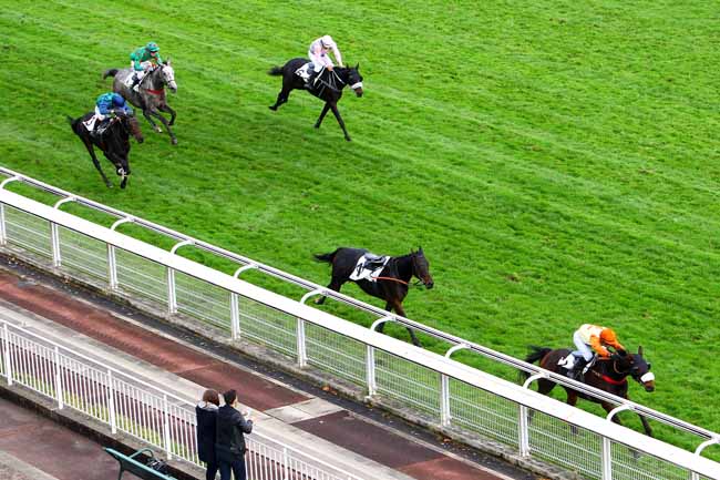 Photo d'arrivée de la course pmu PRIX DE PORNIC à AUTEUIL le Mardi 24 octobre 2017