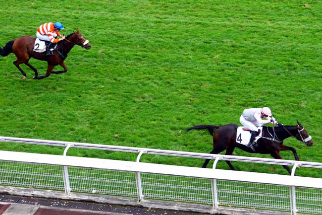 Photo d'arrivée de la course pmu PRIX HUNORISK à AUTEUIL le Mardi 24 octobre 2017