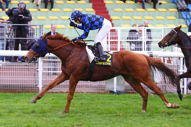 Photo d'arrivée de la course pmu PRIX DU BOIS DE PLAISANCE à COMPIEGNE le Mardi 24 octobre 2017