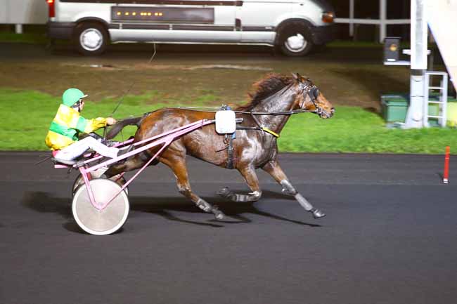 Photo d'arrivée de la course pmu PRIX CARINA à PARIS-VINCENNES le Mardi 24 octobre 2017
