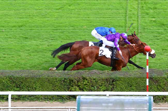 Photo d'arrivée de la course pmu PRIX ANTIVARI à SAINT-CLOUD le Mercredi 25 octobre 2017