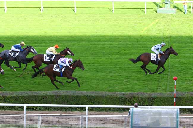 Photo d'arrivée de la course pmu PRIX DES ILES DE LA SEINE à SAINT-CLOUD le Mercredi 25 octobre 2017