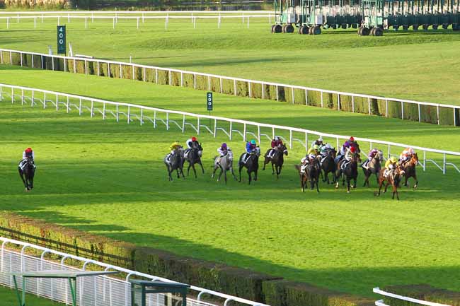 Photo d'arrivée de la course pmu PRIX DES FALAISES DE CRAIES à SAINT-CLOUD le Mercredi 25 octobre 2017