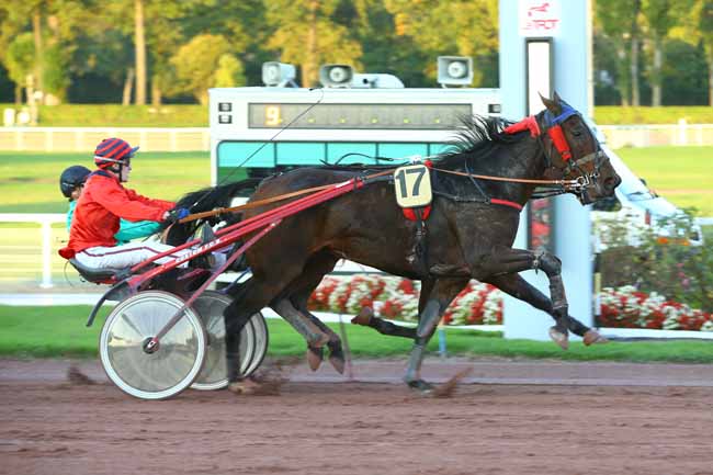 Photo d'arrivée de la course pmu PRIX DE SAINT-AMAND-LES-EAUX à ENGHIEN le Mercredi 25 octobre 2017