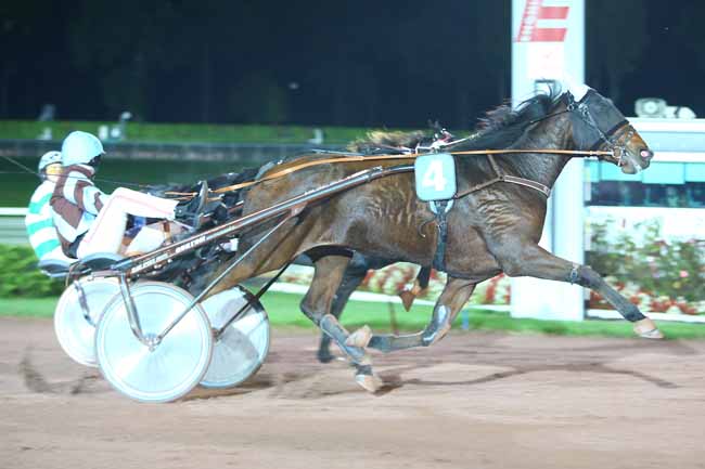 Photo d'arrivée de la course pmu PRIX DU BAS-RHIN à ENGHIEN le Mercredi 25 octobre 2017