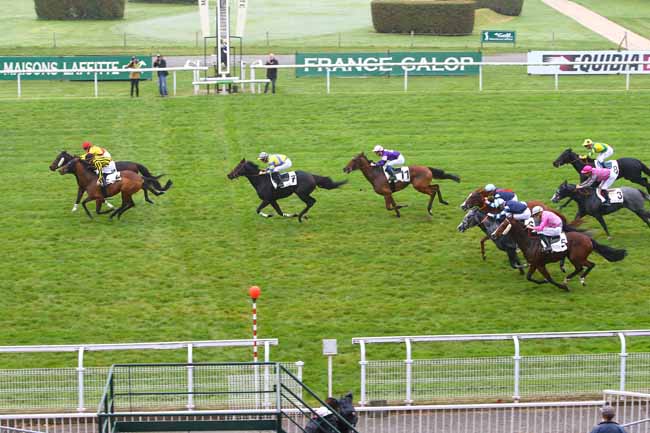 Photo d'arrivée de la course pmu PRIX DU MOULIN DE MAISONS-LAFFITTE à MAISONS-LAFFITTE le Jeudi 26 octobre 2017