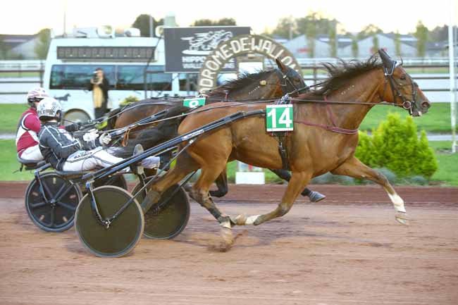 Photo d'arrivée de la course pmu PRIX GECILOC à MONS (GHLIN) le Vendredi 27 octobre 2017