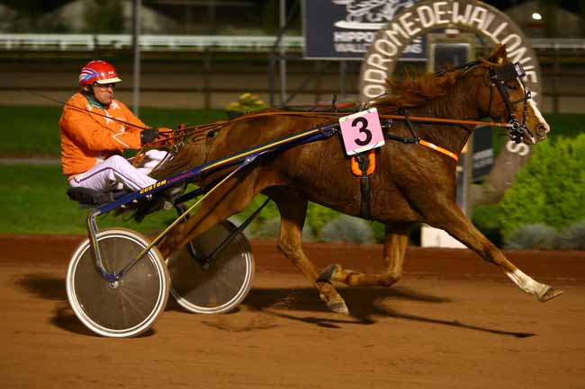 Photo d'arrivée de la course pmu PRIX LE TROT.COM à MONS (GHLIN) le Vendredi 27 octobre 2017