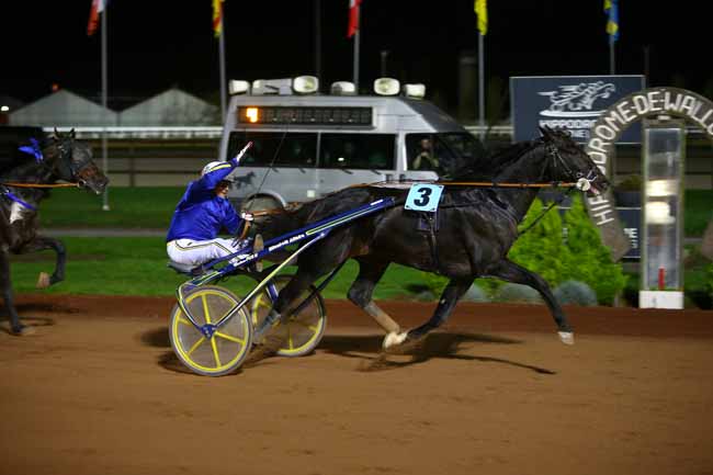 Photo d'arrivée de la course pmu GRAND PRIX DE LA TOUSSAINT - FINALE TOUR EUROPEEN à MONS (GHLIN) le Vendredi 27 octobre 2017