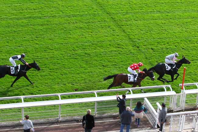 Photo d'arrivée de la course pmu PRIX LA TURBIE à AUTEUIL le Vendredi 27 octobre 2017