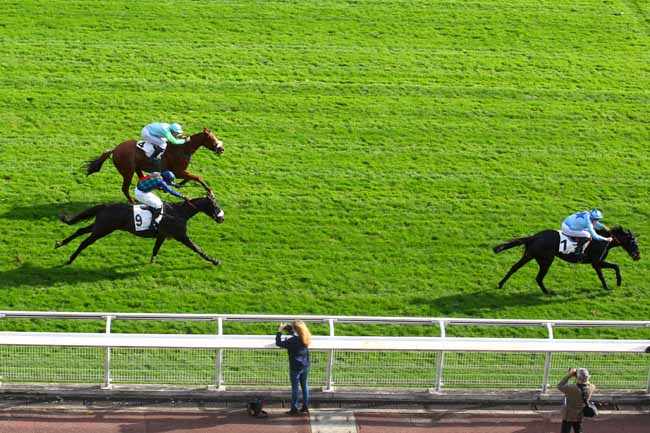 Photo d'arrivée de la course pmu PRIX EMILIUS à AUTEUIL le Vendredi 27 octobre 2017